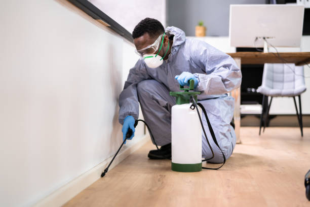 Best Pest Prevention Services  in Fairview Park, IN